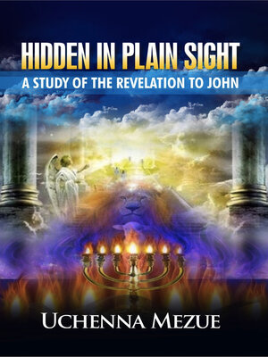 cover image of Hidden In Plain Sight